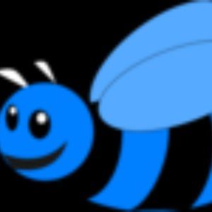 Meet your Posher, Blue Bee NYC